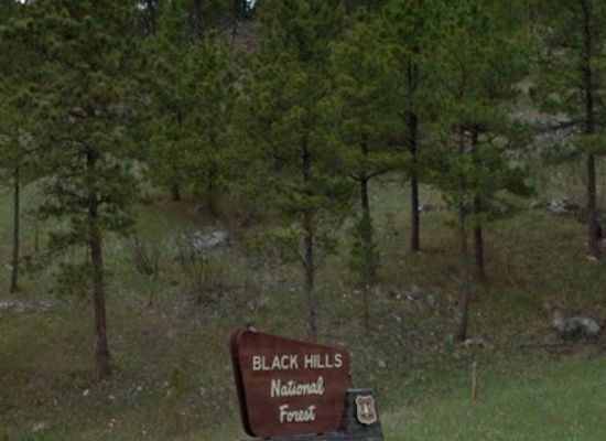 south-dakota/black-hills-national-forest/landmark/black-hills-national-forest-sign