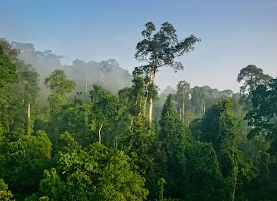 ghana/wli-nature-reserve/landmark/kakum-national-park
