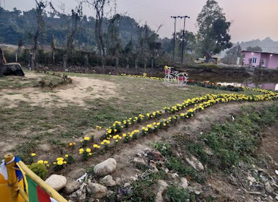 india/itanagar/landmark/rema-homestay