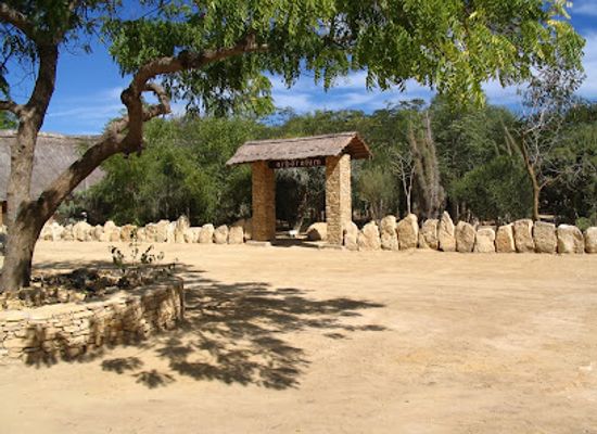 madagascar/toliara/landmark/arboretum-d-antsokay