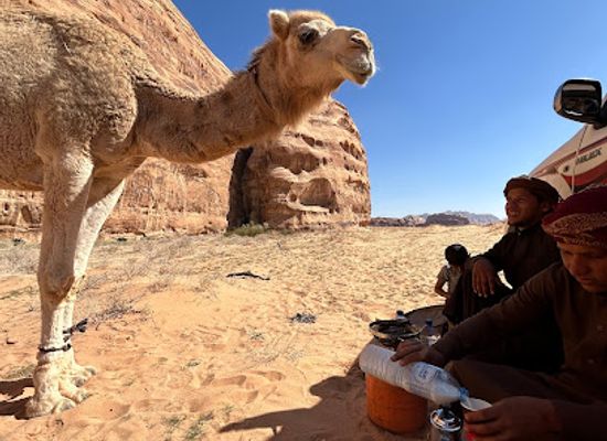 jordan/badia/landmark/joy-of-life-wadi-rum