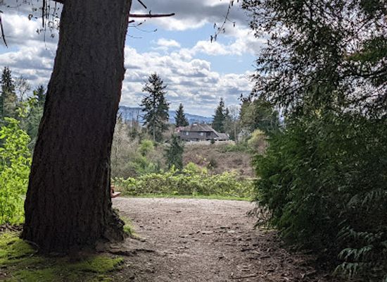 washington/kirkland/landmark/watershed-park