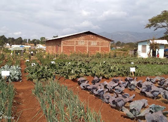 tanzania/morogoro/landmark/nane-nane