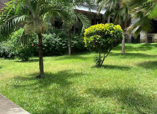 kenya/malindi/landmark/happy-house-spa-and-wellness