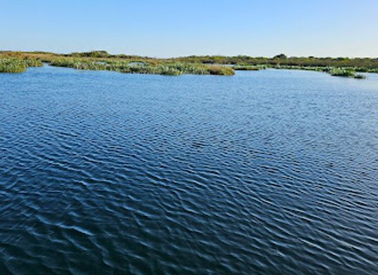 australia/south-east-south-australia/landmark/piccaninnie-ponds-conservation-park