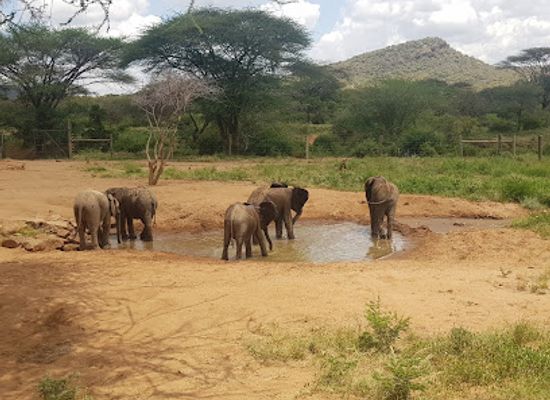 kenya/tsavo-national-park/landmark/namunyak-wildlife-conservation-trust