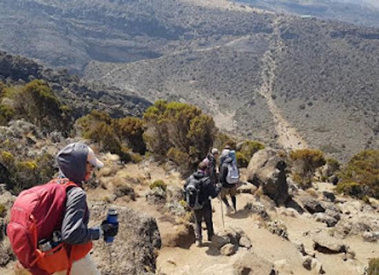 tanzania/kilimanjaro-region/landmark/kilimanjaro-brothers-climbing-and-adventure-company-ltd