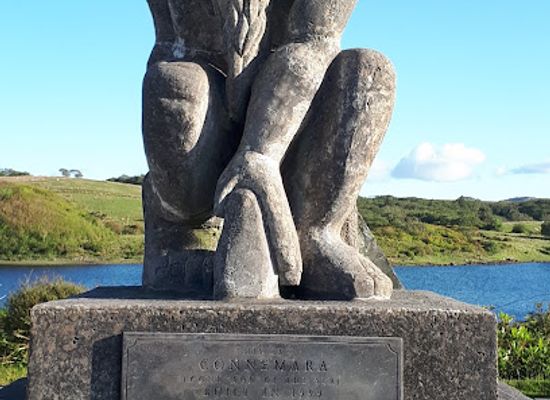 ireland/connacht/landmark/connemara-national-park