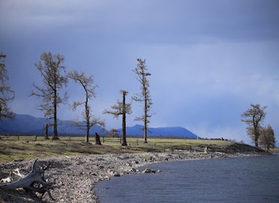 mongolia/lake-khovsgol/landmark/art-88-resort