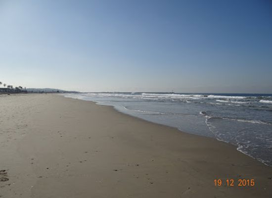 california/san-diego/mission-beach/landmark/muscle-beach