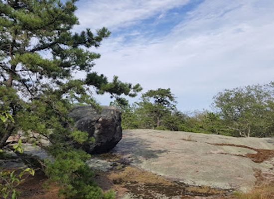massachusetts/cape-ann/landmark/mount-ann-park