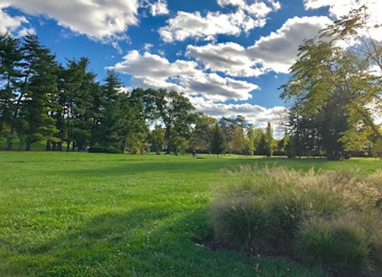 missouri/st-louis/forest-park/landmark/st-louis-award-pine-tree