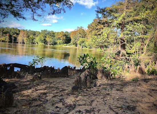 louisiana/north-louisiana/landmark/d-arbonne-national-wildlife-refuge
