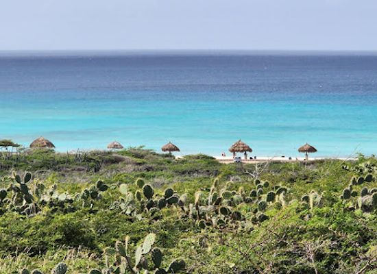 aruba/eagle-beach/landmark/california-lighthouse