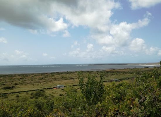 somalia/bay/landmark/lag-badana-bushbush-national-park
