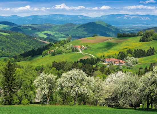 austria/lower-austria/landmark/viennese-alps-in-lower-austria-tourist-board