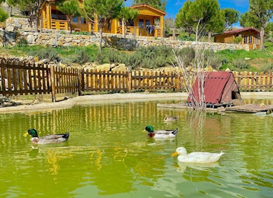 lebanon/chouf/landmark/farmvillebarouk