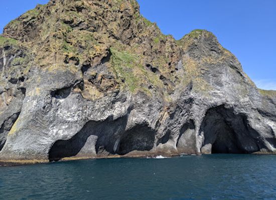 iceland/westman-islands/landmark/beluga-sanctuary