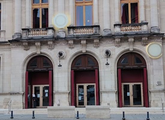 france/nancy/landmark/poirel-room-nancy