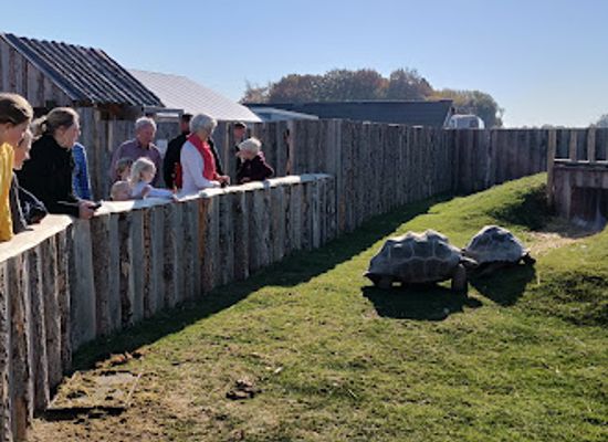 denmark/lolland/attraction/crocodile-zoo-falster