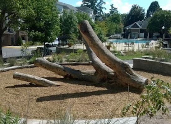maryland/gaithersburg/landmark/constitution-gardens-park
