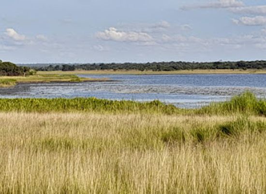 zambia/bangweulu-wetlands/landmark/mokrady-bangweulu