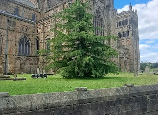united-kingdom/durham/attraction/museum-of-archaeology-durham-university