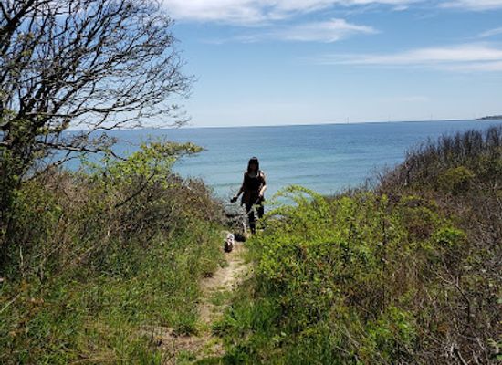 rhode-island/block-island/landmark/clay-head-nature-trail