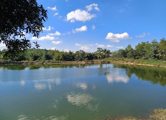 bangladesh/sylhet/landmark/tea-estate