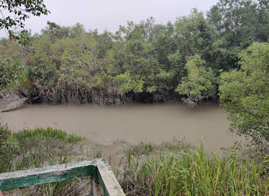 bangladesh/sundarbans/landmark/harbaria-eco-tourism-center