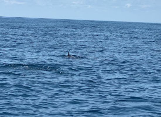 mayotte/tsingoni/landmark/lagon-aventure