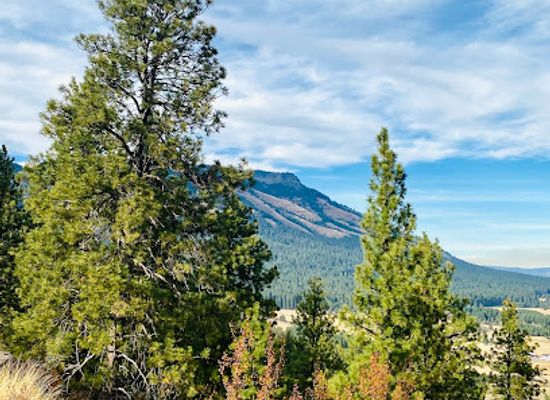 oregon/wallowa-county/landmark/mount-emily-recreation-area