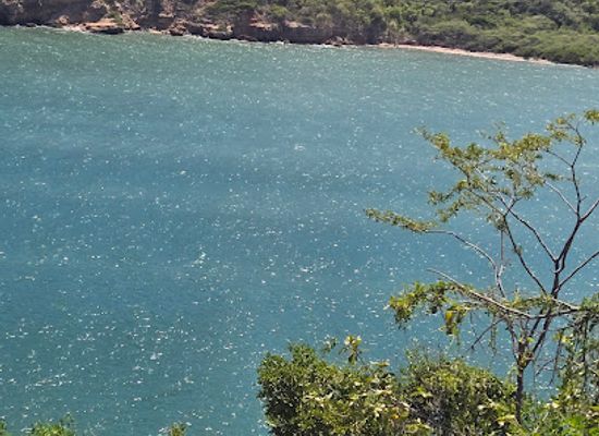puerto-rico/caribbean-national-forest/landmark/guanica-state-forest