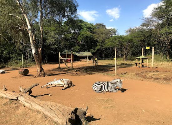 kenya/kisumu/kisumu-cbd/landmark/kisumu-impala-park-wildlife-sanctuary-office