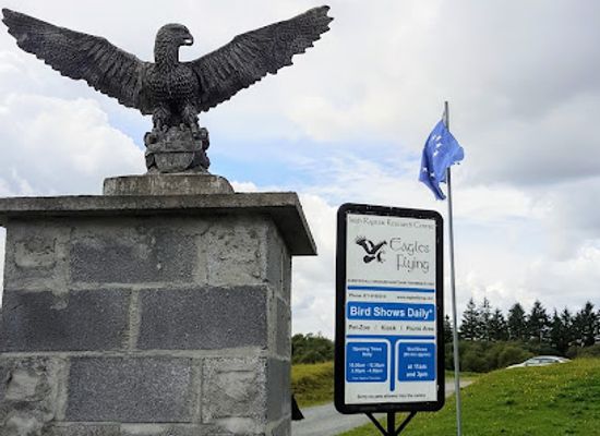 ireland/connacht/landmark/eagles-flying-ballymote-sligo