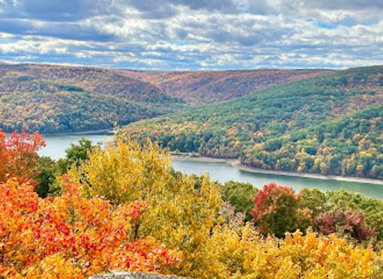 pennsylvania/allegheny-national-forest/landmark/rimrock-overlook