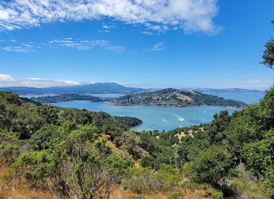 california/bay-area/landmark/summit-of-mt-livermore