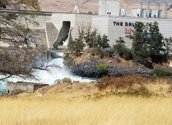 oregon/wasco-county/landmark/seufert-park