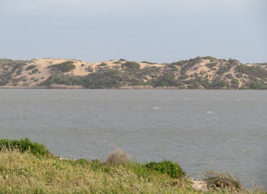 australia/coorong/landmark/younghusband-peninsula