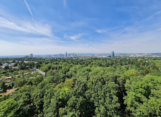 germany/taunus/landmark/goetheturm