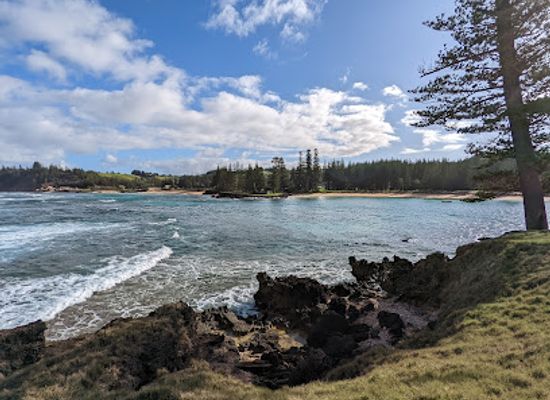 norfolk-island/burnt-pine/landmark/lone-pine