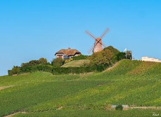france/champagne/landmark/moulin-de-verzenay