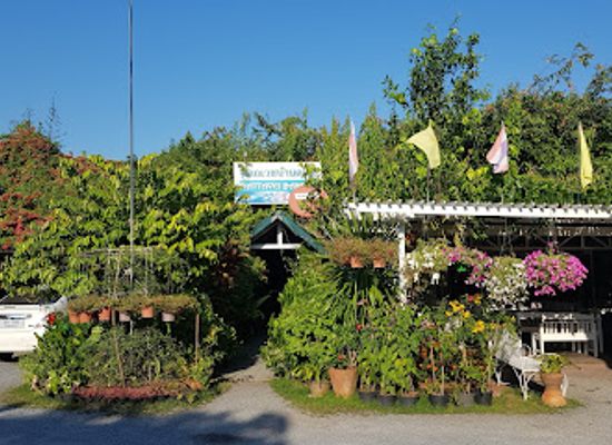 thailand/surat-thani/landmark/sum-gradang-nga