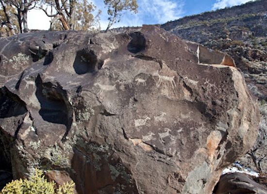 new-mexico/santa-fe-national-forest/landmark/new-mexico-public-lands-information-center