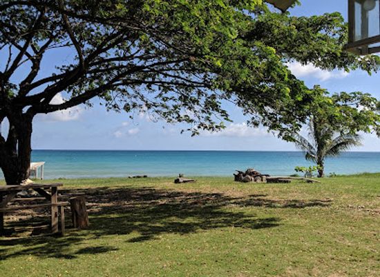 jamaica/st-thomas-lowlands/landmark/the-longboarder-bar-grill