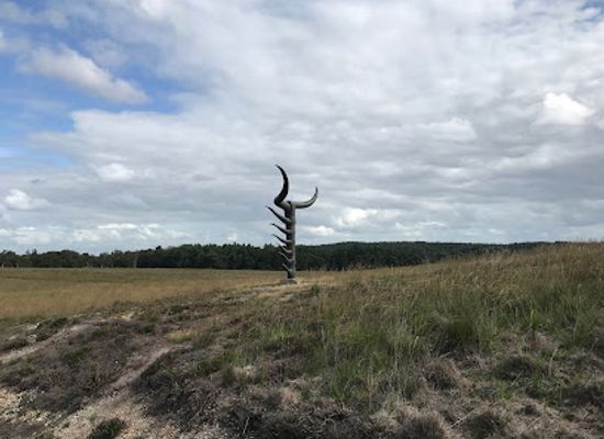 netherlands/veluwe/landmark/kromme-elboog-rheder-en-worth-rhederheide