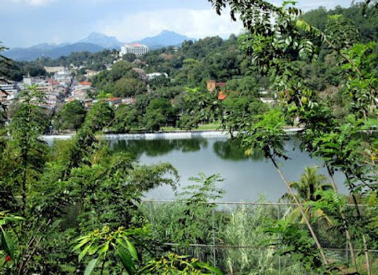 sri-lanka/kandy-district/landmark/royal-palace-park