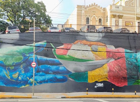 brazil/sao-paulo/pinheiros/landmark/mural-do-kobra-fraternidade