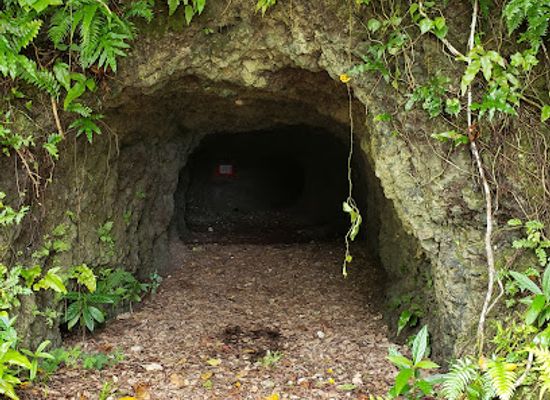 palau/rock-islands/landmark/1-000-man-cave