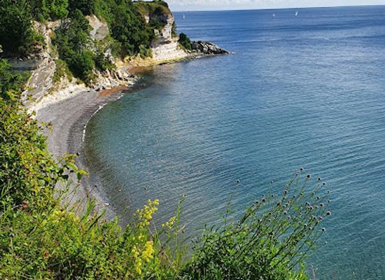 denmark/zealand/attraction/stevns-klint-unesco-world-heritage